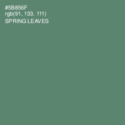 #5B856F - Spring Leaves Color Image